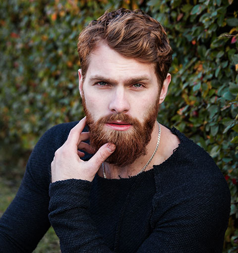 Bid nobis argumentum vix.